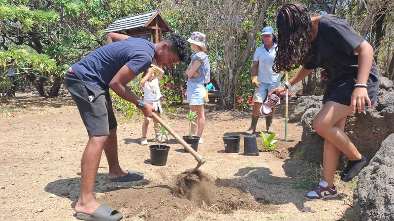 ACTION RACINES D'AVENIR (Plantation endémique)
